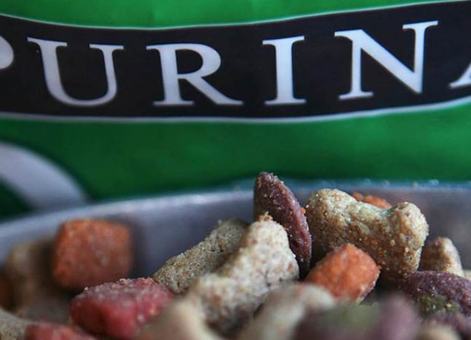 Alimento balanceado para mascotas de una planta de Purina